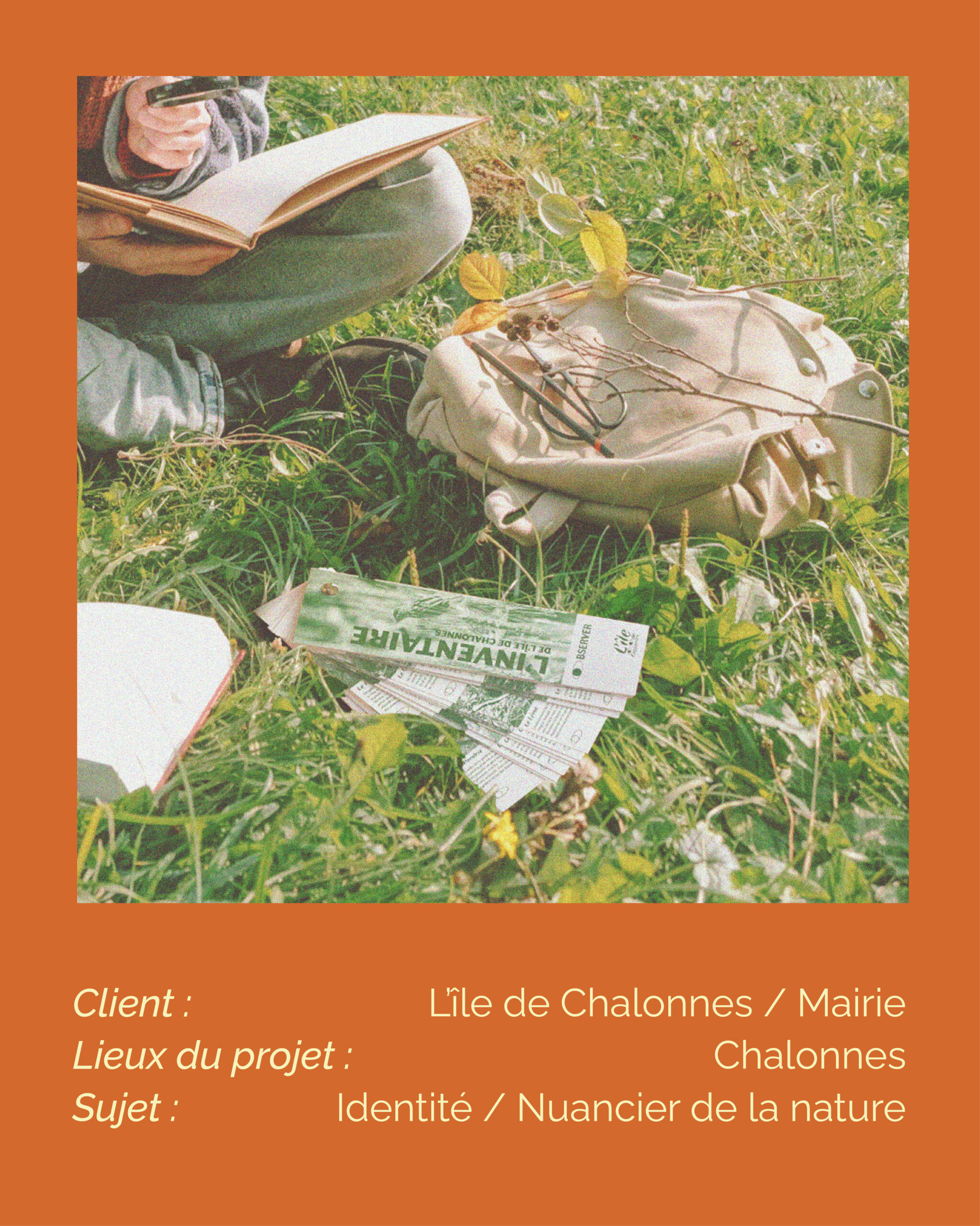 L’île de Chalonnes